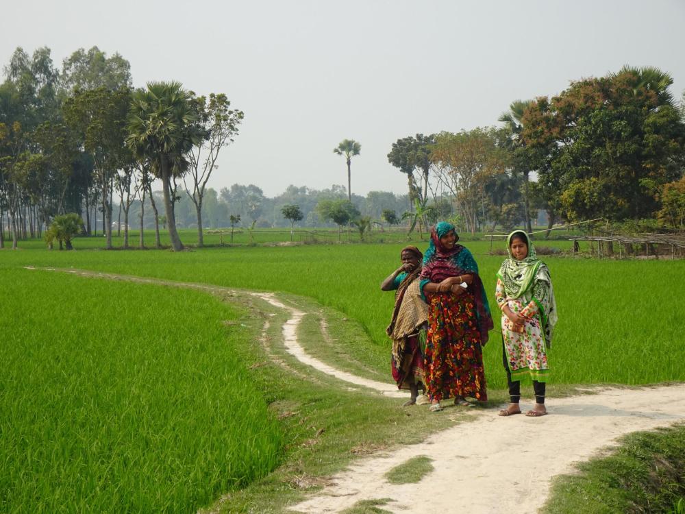 Naisia riisipellon laidalla