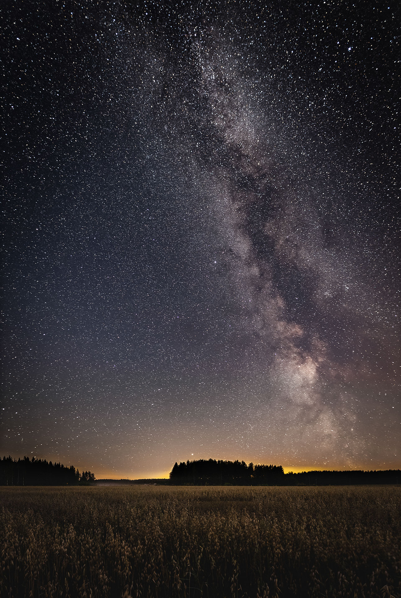 Yökuva, jossa tähtitaivasta viljapellon yllä. Taivaan rannassa pieni kajo. Kuvaaja: Mika Nuorva.