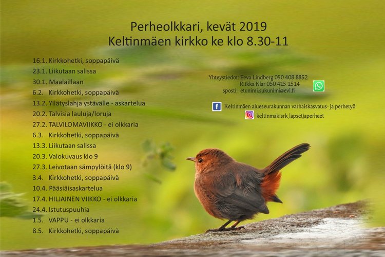 Perheolkkari Perheolkkari