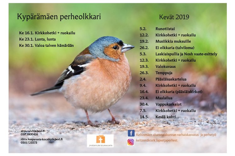 Perheolkkari Perheolkkari