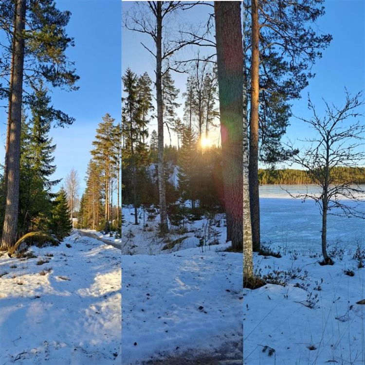 Nuorten aikuisten leiri Sarpatissa talvisia metsämaisemia