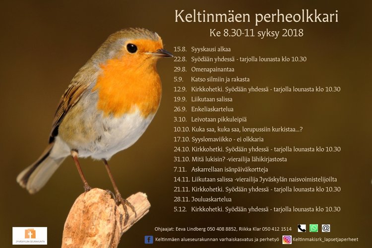 Perheolkkari Perheolkkari