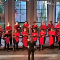 Kultaisia kuvia - Naiskuoro Pulssin joulukonsertti