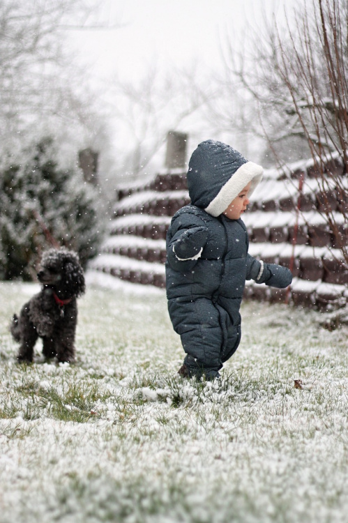 Pieni lapsi kävelee koiran kanssa.