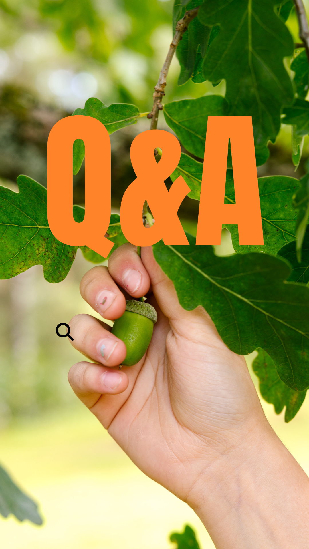 käsi tarttumassa tammenterhoon, kirjaimet Q&A